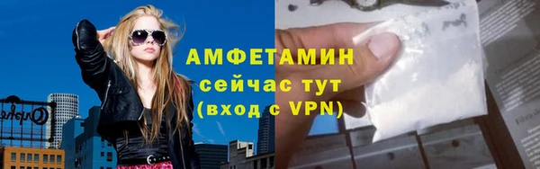 ALPHA PVP Ельня