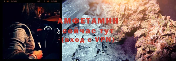 ALPHA PVP Ельня